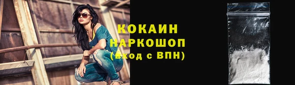 гашик Надым