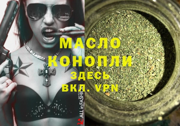 гашик Надым