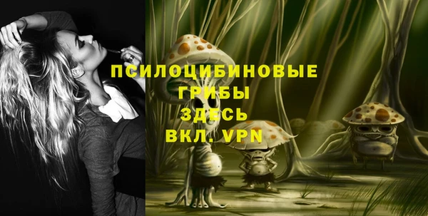 ПСИЛОЦИБИНОВЫЕ ГРИБЫ Навашино