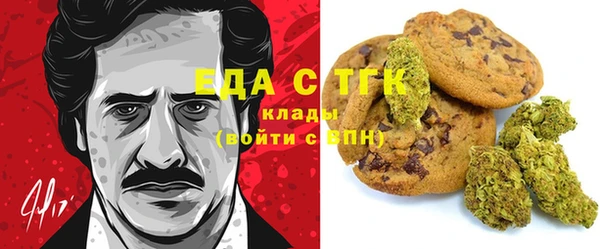 гашик Надым