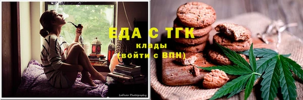 гашик Надым