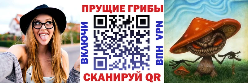 Галлюциногенные грибы прущие грибы  мега ССЫЛКА  Ялта 