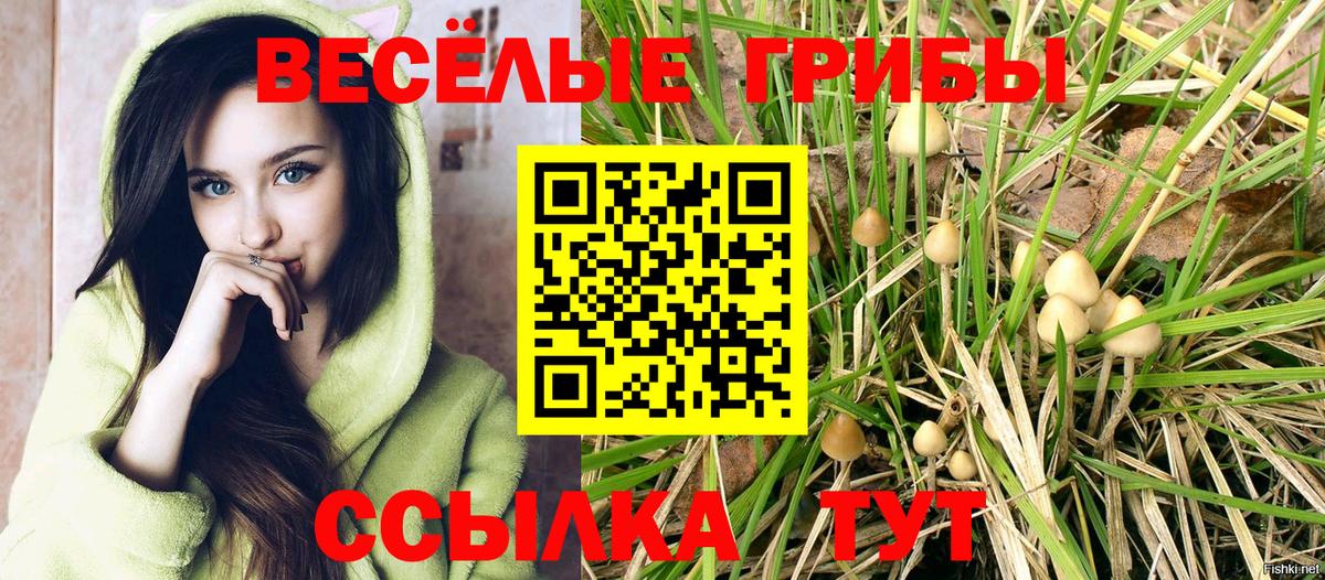 Псилоцибиновые грибы MAGIC MUSHROOMS  Вход с VPN  Ялта 